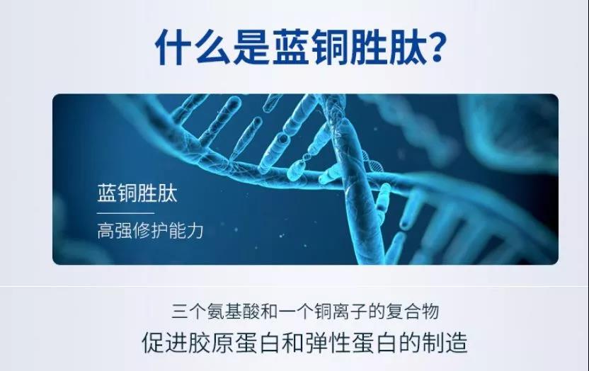 胜肽中的明星——蓝铜胜肽